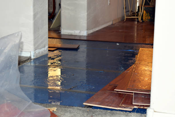 Professional Sewage Cleanup technician working in Preston, CT